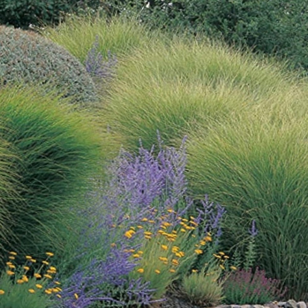 Meet your Posher, LB